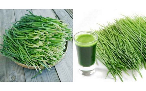 Ho có đờm uống gì cho dễ chịu cổ họng, giảm ho nhanh?
