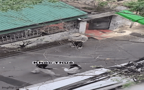 Nữ sinh bị ép quỳ xin lỗi khi cố đòi lại đồ đánh rơi trên phố Hà Nội: Công an dựng lại hiện trường