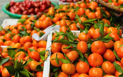 Tiểu thương bật mí bí kíp chọn cam canh chuẩn hàng Việt, nhìn đặc điểm này là biết ngay