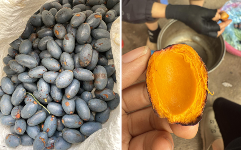 Loại trái cây có nhiều ở các tỉnh Đông Bắc, giàu vi chất, đắt đỏ, người tiêu dùng 'săn lùng' ráo riết