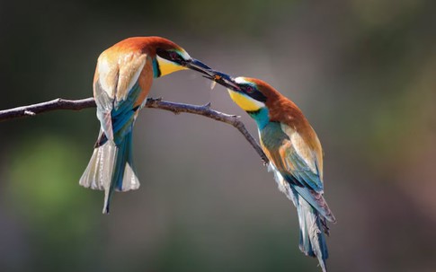 Phụ nữ sinh vào 3 tháng Âm lịch này được quý nhân che chở, sống an nhàn đến già