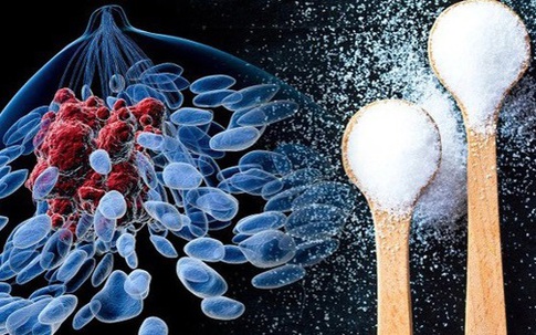 Tế bào ung thư 'thích' gì nhất? Hiểu đúng để phòng bệnh từ trong bữa cơm nhà bạn