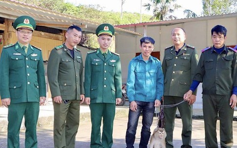 Phát hiện khỉ đuôi lợn quý hiếm trong vườn nhà người dân