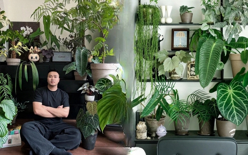 Bỏ phố về... ban công: Chàng trai 9x chia sẻ bí kíp "mang rừng về phố", chỉ 3 quy tắc sắp xếp là có ngay góc chill triệu like