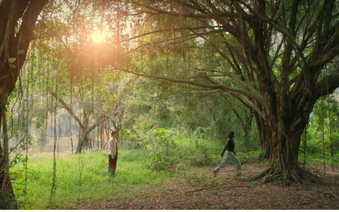 Trí nhớ của Bách đã trở lại nhưng Tú đã quyết tâm từ bỏ mối tình đơn phương