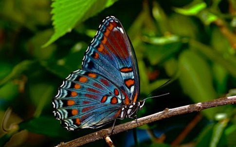 Ngày sinh Âm lịch của người đang có vận tài lộc nở rộ, sắp có khoản tiết kiệm lớn trong vài năm tới