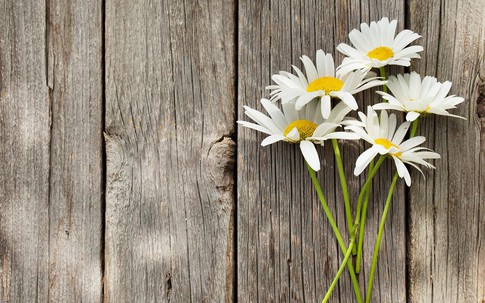 Số cuối ngày sinh Âm lịch của người sống tinh tế và biết yêu bản thân