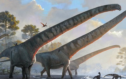 Quái vật Trùng Khánh "trỗi dậy" từ đá đỏ tía, nặng hàng chục tấn