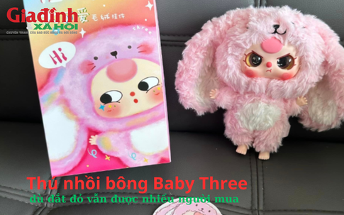 Baby Three - loại thú nhồi bông đắt đỏ, gây sốt hiện nay