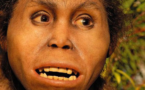 Sinh vật tông Người bí ẩn khai phá Âu - Á 2 triệu năm trước?