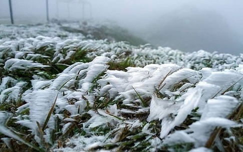 Không khí lạnh tiếp tục mạnh lên khiến cái rét ở miền Bắc và miền Trung càng thêm tê tái