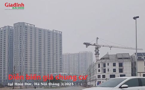 Diễn biến giá chung cư tại Hoài Đức, Hà Nội tháng 3/2025