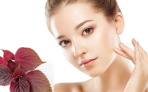 5 công dụng làm đẹp bất ngờ của lá tía tô