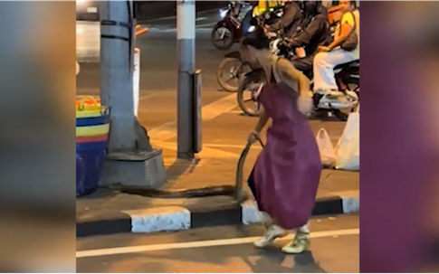 Người đàn ông trổ tài bắt rắn khổng lồ bằng tay không và cái kết bất ngờ