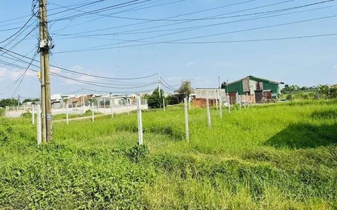 Hàng triệu gia đình mừng thầm, 5 loại đất không giấy tờ này sẽ được cấp sổ đỏ từ 2025 theo quy định mới nhất của Luật Đất đai
