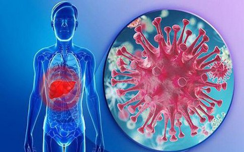 Biến chứng đáng sợ của men gan thấp nếu không được điều trị đúng