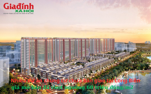 Nhiều dự án chung cư chưa bàn giao tại Long Biên, Hà Nội, giá mở bán đã vượt ngưỡng 60 triệu đồng/m2