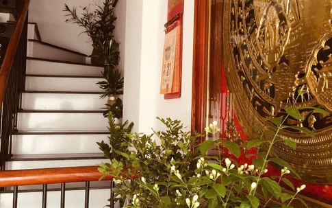 Cây cảnh đặt ở bậc cầu thang cho các mệnh Kim, Mộc, Thủy, Hỏa, Thổ