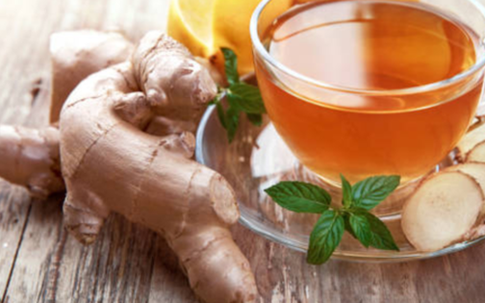 10 loại kháng sinh tự nhiên