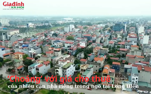 Giá cho thuê không ngờ tới của nhiều căn nhà riêng trong ngõ tại Long Biên, Hà Nội
