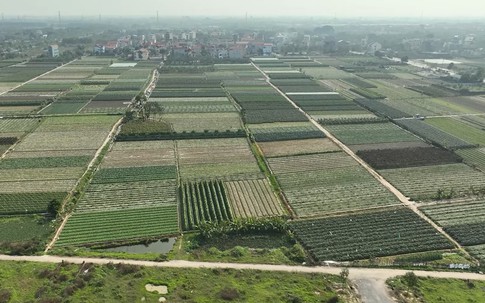 Những trường hợp này sẽ không được cấp sổ đỏ năm 2025 theo quy định mới nhất của Luật Đất đai