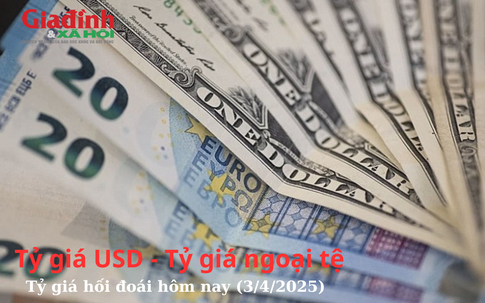Tỷ giá USD - Tỷ giá ngoại tệ - Tỷ giá hối đoái hôm nay (3/4/2025)
