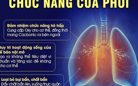 18 lợi ích của việc đi bộ 30 phút mỗi ngày