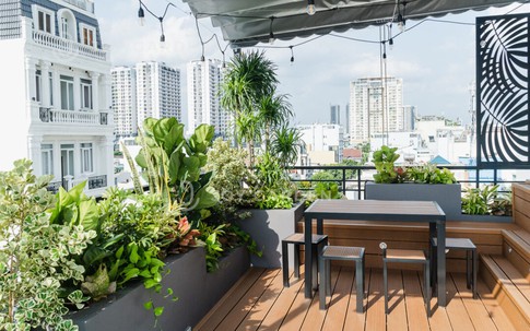 Trồng cây ban công: Chọn cây theo hướng nhà và các lưu ý