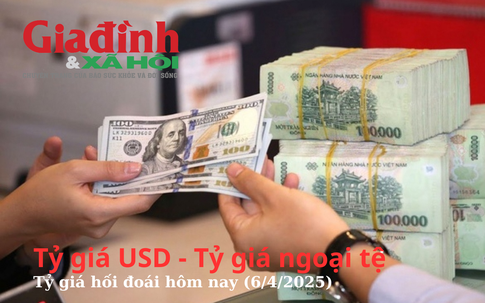Tỷ giá USD, tỷ giá ngoại tệ, tỷ giá hối đoái hôm nay (6/4/2025)