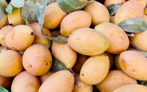 Thanh trà vào mùa bán đầy chợ Việt giá vài chục nghìn đồng/kg
