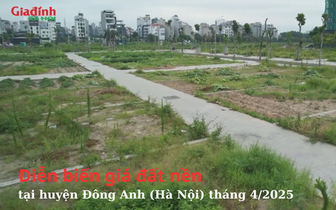 Diễn biến giá đất nền tại huyện Đông Anh (Hà Nội) tháng 4/2025