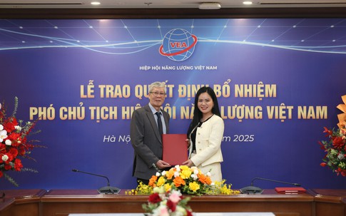 Lãnh đạo cấp cao T&T Group làm Phó Chủ tịch Hiệp hội Năng lượng Việt Nam