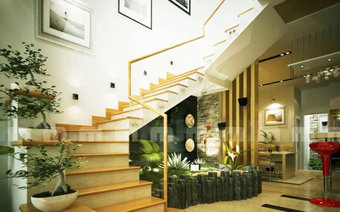 Đây là lý do trồng cây trong nhà không cần ánh sáng và dễ chăm sóc