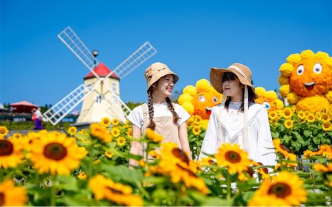 Sun World Ba Na Hills ngợp ngời sắc vàng trong lễ hội Hoa Mặt trời