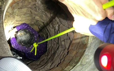 Rơi xuống giếng sâu, cụ bà 84 tuổi ở Bắc Giang được giải cứu thành công