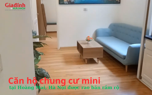 Căn hộ chung cư mini tại Hoàng Mai, Hà Nội được rao bán rầm rộ