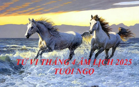 Con giáp tuổi Ngọ theo tử vi tháng 4 âm lịch Ất Tỵ 2025 sẽ có những biến động lớn này