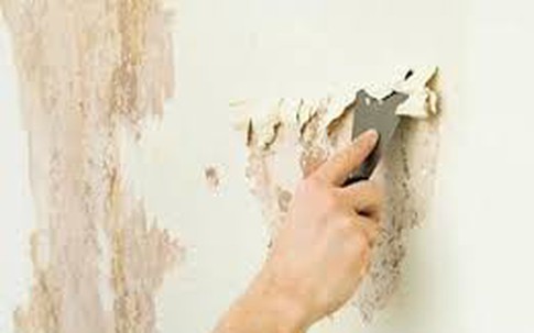 Cách khắc phục sơn tường bị ố vàng nhanh chóng và hiệu quả nhất tại nhà