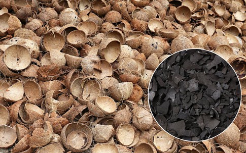 Thứ bỏ đi từ trái dừa thành "mỏ vàng", Việt Nam kiếm hàng chục triệu đô: Thế giới đổ xô đặt hàng