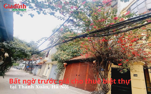 Bất ngờ trước giá cho thuê biệt thự tại Thanh Xuân, Hà Nội