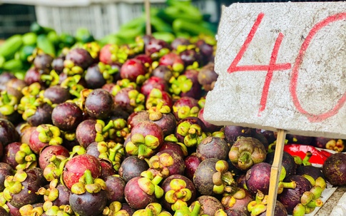 Măng cụt vào mùa giá 'siêu hời', tiểu thương chia sẻ cách loại bỏ quả hỏng, tránh lãng phí