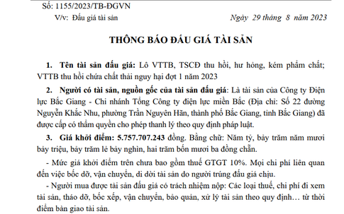 Cần minh bạch trong đấu giá tài sản vật tư thiết bị có chứa chất thải nguy hại của các Công ty điện lực