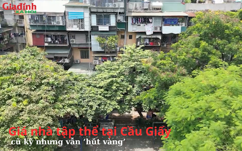 Giá nhà tập thể tại Cầu Giấy, cũ kỹ nhưng vẫn ‘hút vàng’, nhiều căn chạm và vượt ngưỡng 5 tỷ đồng/căn