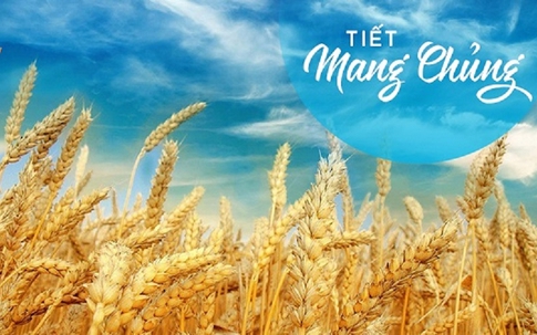 Tiết khí Mang Chủng năm 2025 khi nào? Đây là những điều cần làm để giữ sức khỏe, mang tài lộc về nhà