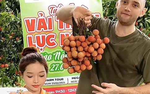 Vải thiều dội chợ rớt giá, đưa lên livestream lại "cháy hàng"