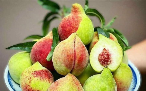 Đào mỏ quạ vào mùa giá siêu rẻ, cách đơn giản để chị em rủ nhau ‘săn’ hàng ngon, tránh hàng Trung Quốc