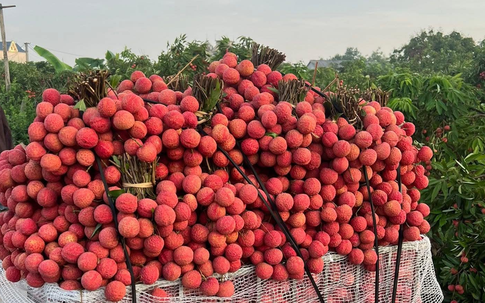 Vải thiều vào cuối vụ, người tiêu dùng tranh thủ mua dự trữ trước khi hết mùa