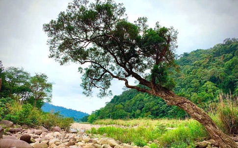 Phê duyệt Đề án du lịch sinh thái, giải trí Vườn quốc gia Vũ Quang