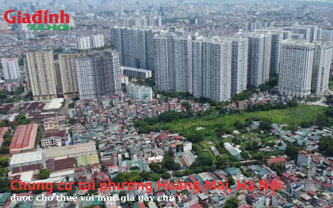 Chung cư tại phường Hoàng Mai, Hà Nội được cho thuê với mức giá gây chú ý