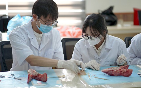 Điểm sàn xét tuyển đại học 2025 các trường Y, Dược